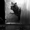 Che canzone state ascoltando? - last post by Capa7